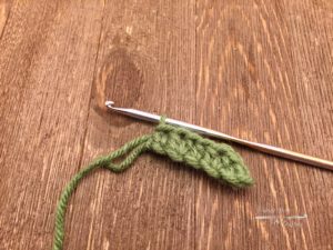 Crochet Leaf pattern: crochet along the top of the chain