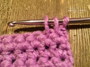 Insert hook into next stitch and pull up a loop
