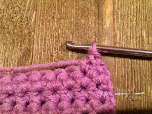Paired single crochet stitch made.